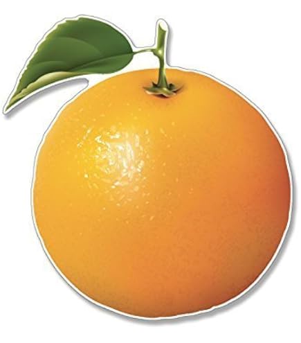 Amazon.com: Pretty Summer Citrus Fruit Slice Cartoon Emoji